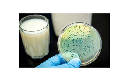 آزمونهای میکروبی شیر و فرآورده های آن