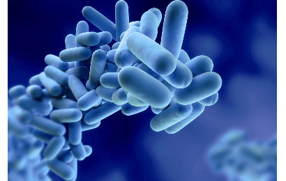 ردیابی و تشخیص باکتری لژیونلا  در آب