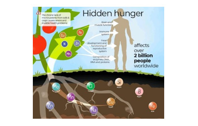 مفهوم گرسنگی پنهان و سوء تغذیه انسانها