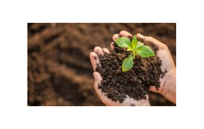 کیفیت خاک -امنیت غذایی و سلامت انسان