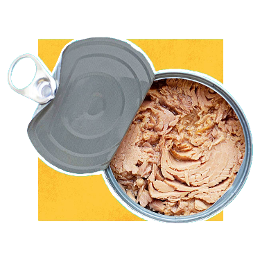 آزمایشات کنسرو ماهی تن