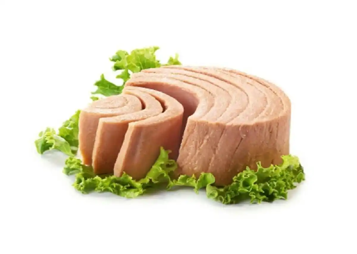 آزمایشات کنسرو ماهی تن