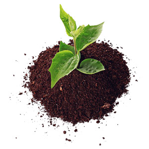 آزمایشات تعیین کیفیت خاک کشاورزی