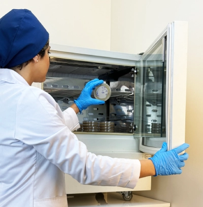 بخش دامپزشکی بخش دامپزشکی