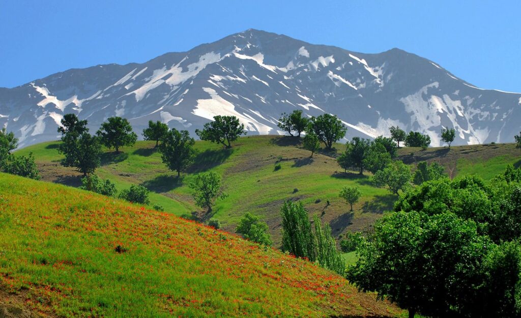 آزمایشات استاندارد آب معدنی آزمایشات استاندارد آب معدنی