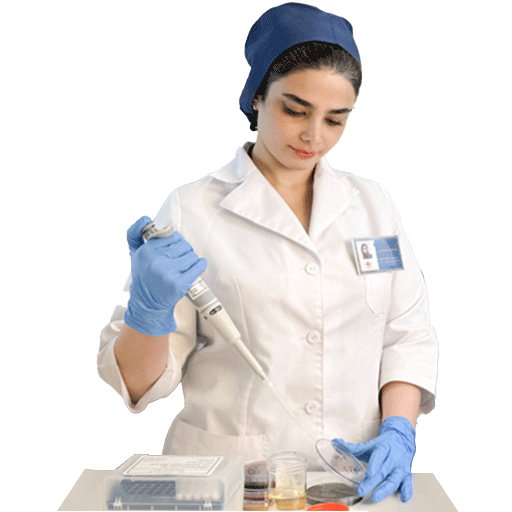 دام بزرگ دام بزرگ