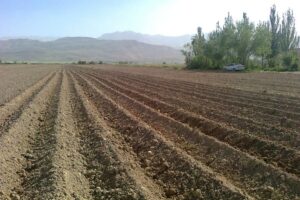 آخرین تحقیقات خاک‌شناسی