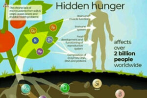 آخرین تحقیقات خاک‌شناسی
