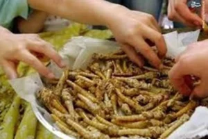 آخرین تحقیقات مواد غذایی-آرایشی بهداشتی