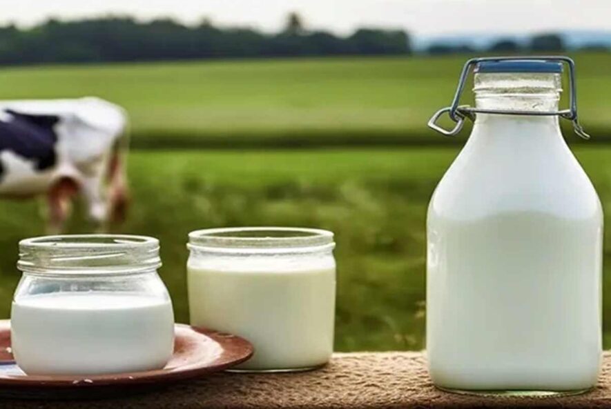 همه چیز درباره آزمون میکروبی شیر و فرآورده های آن همه چیز درباره آزمون میکروبی شیر و فرآورده های آن