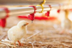 آخرین تحقیقات آب و پساب