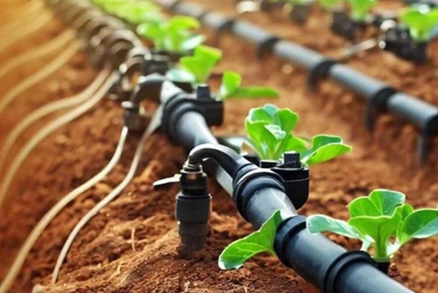 استاندارد آب کشاورزی چیست؟+جدول استاندارد آب کشاورزی چیست؟+جدول