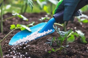 آخرین تحقیقات خاک‌شناسی