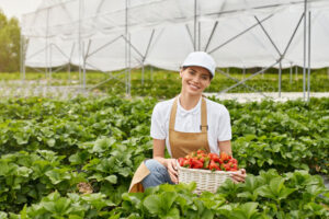 آخرین تحقیقات خاک‌شناسی