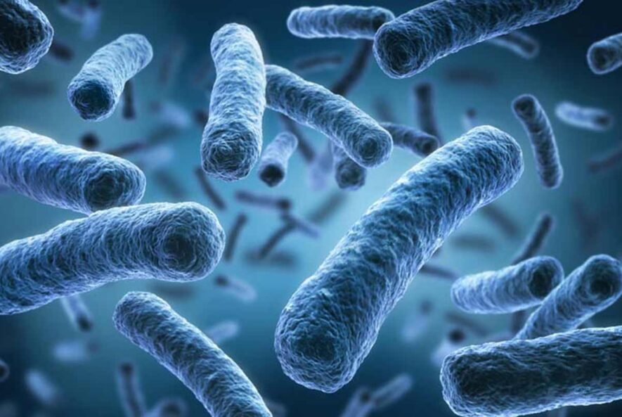 ردیابی و تشخیص باکتری لژیونلا در آب