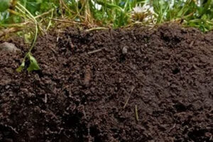 آخرین تحقیقات خاک‌شناسی