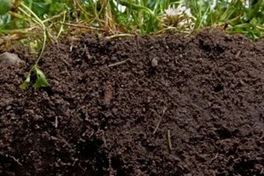 اهمیت شناسایی کانی های خاک اهمیت شناسایی کانی های خاک