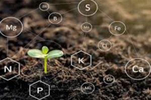 آخرین تحقیقات خاک‌شناسی