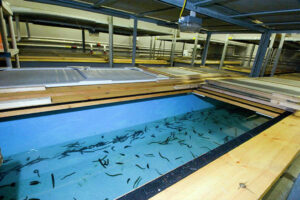 آخرین تحقیقات آب و پساب