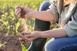 آخرین تحقیقات خاک‌شناسی