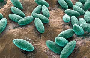 رویدادهای داخلی رویدادهای داخلی