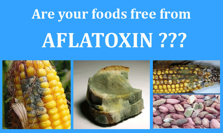 آنالیز خوراک مصرفی دام و طیور و آبزیان بر طبق استاندارد