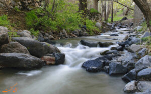 خدمات آزمایشگاهی پرکابرد آزمایشگاه آسا خدمات آزمایشگاهی پرکابرد آزمایشگاه آسا