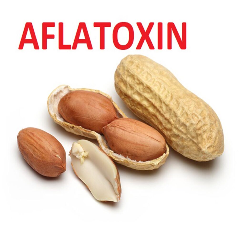 آفلاتوکسین‌ها
