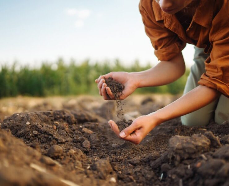 680fb39c6dd509988b81e20f12ec03b7