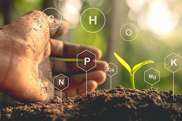 آزمون های مهم برگ و گیاه