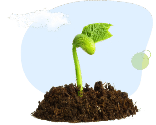 آزمایشات استاندارد کمپوست آزمایشات استاندارد کمپوست