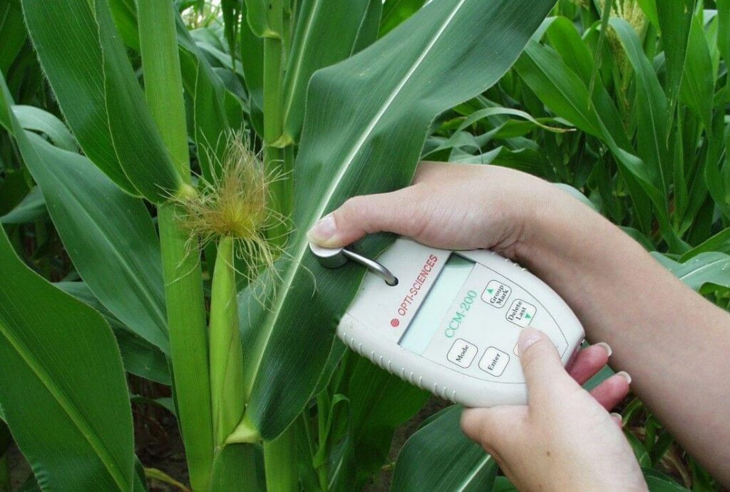 آزمون های مهم برگ و گیاه