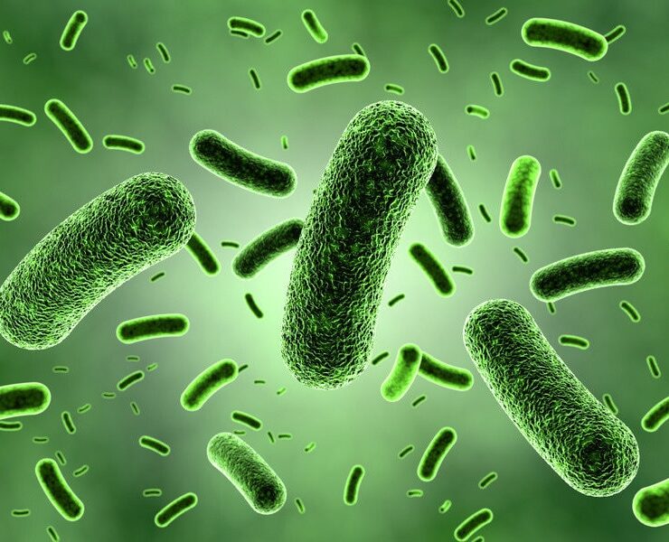 عوامل-باکتری-زا-آب-1