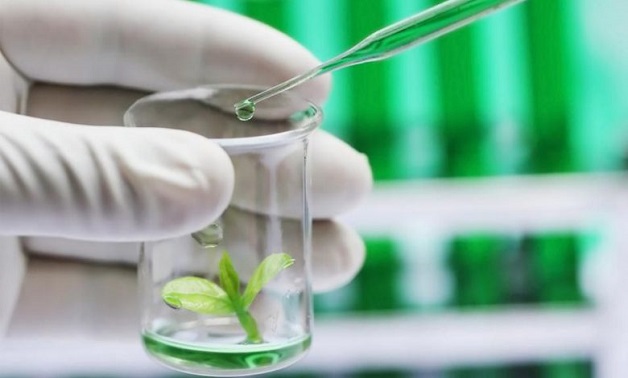 آزمون های مهم برگ و گیاه