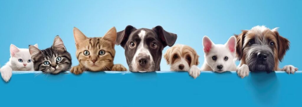 آزمایش تشخیص بیماری هاری و اندازه گیری آنتی بادی بر علیه واکسن هاری