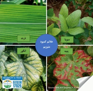 آخرین تحقیقات خاکشناسی آخرین تحقیقات خاکشناسی